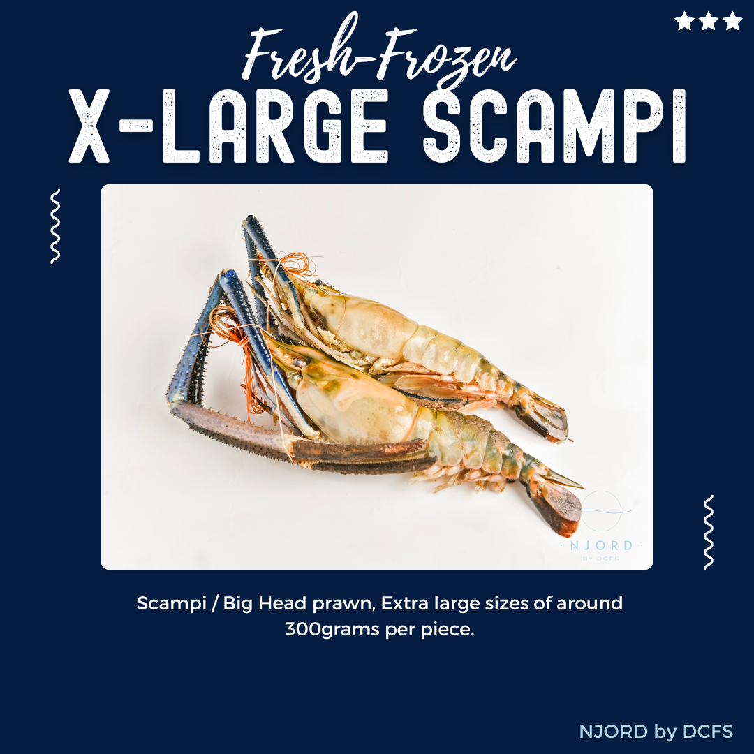 Scampi Super Big