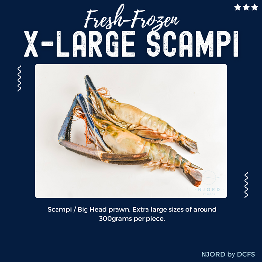 Scampi Super Big