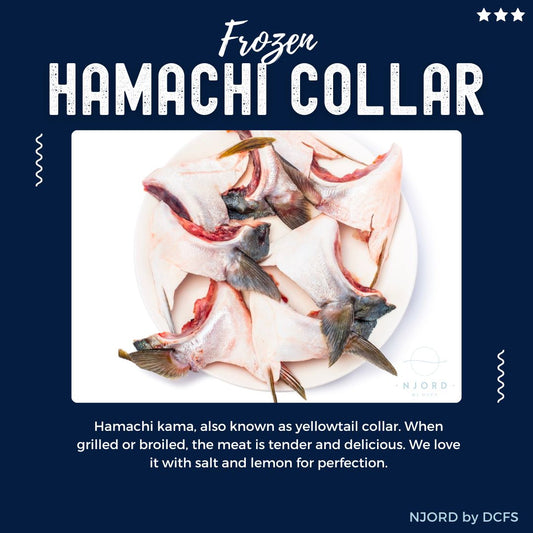 Hamachi Collar 180G