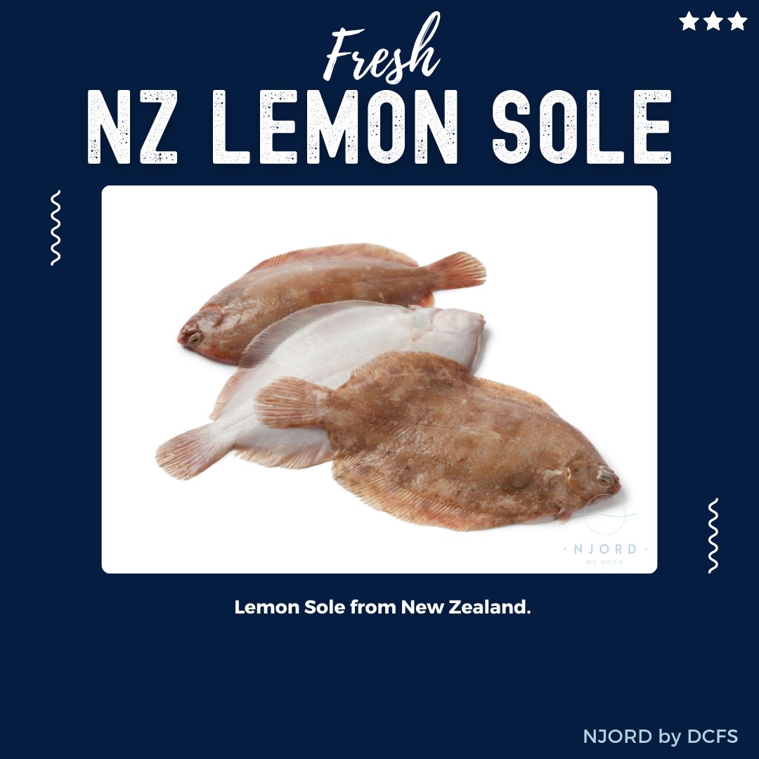 Fresh NZ Lemon Sole 300G