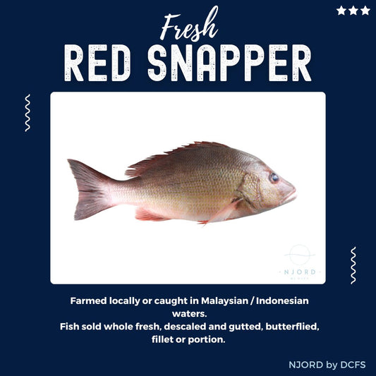 Fresh Red Snapper 900G
