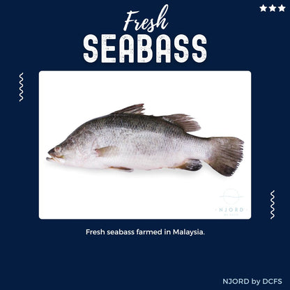 Fresh Seabass 600G