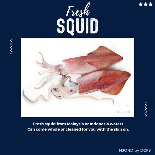 Fresh Squid 3PCS