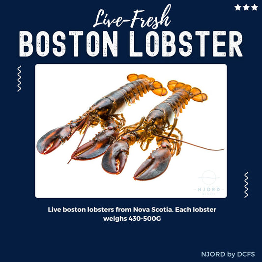 Live Boston Lobster 2PCS